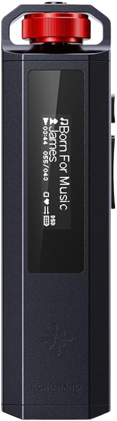 FiiO SnowSky ECHO NANO